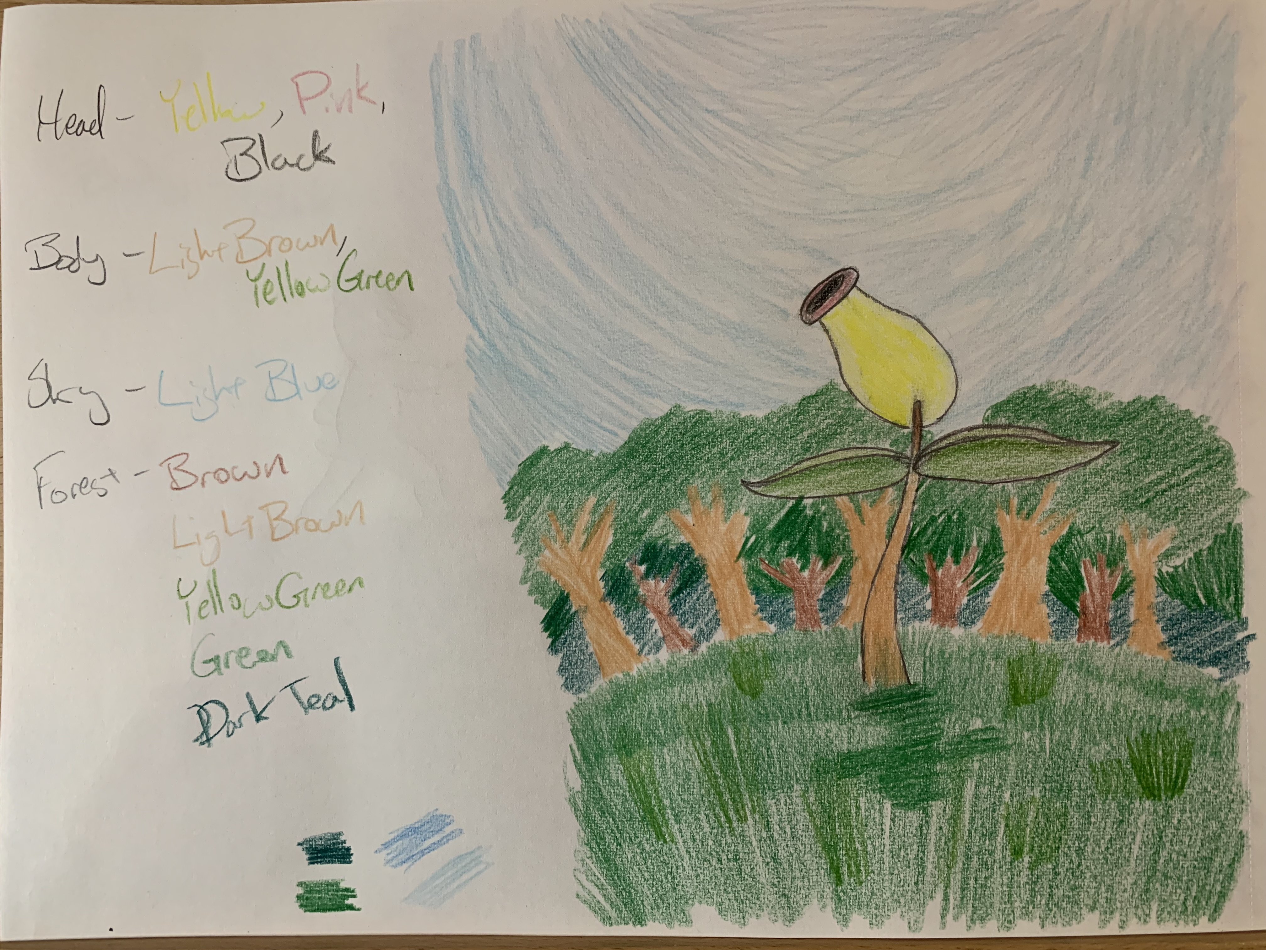 hand-drawn artwork